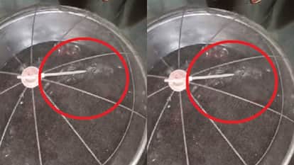 गुलाब जामुन के बर्तन में दिखा चूहा