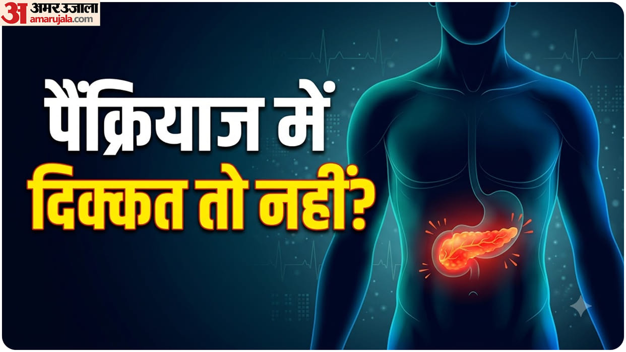 Pancreatic Disorders How the Pancreas Affects Both Digestion and Blood Sugar