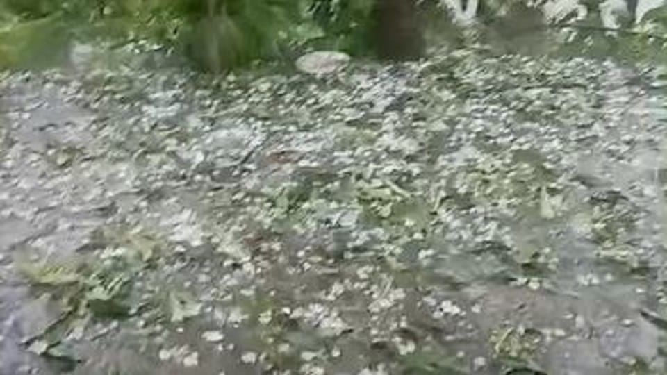 Hailstorm causes damage to crops and horticulture in Pithoragarh
