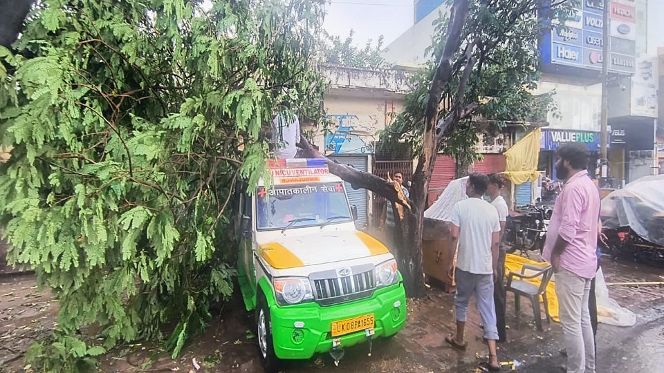 एटा में बारिश ने मचाई तबाही: यूनिपोल गिरा, पेड़ गिरने से एंबुलेंस क्षतिग्रस्त; फसलें हुई बर्बाद