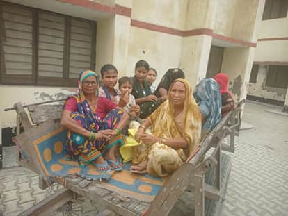 Cow dies after being bitten by a rabies dog panic among 98 people who consumed milk and kheer