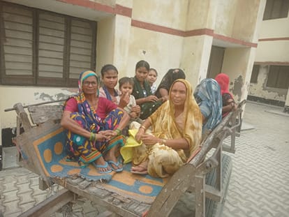 Cow dies after being bitten by a rabies dog panic among 98 people who consumed milk and kheer