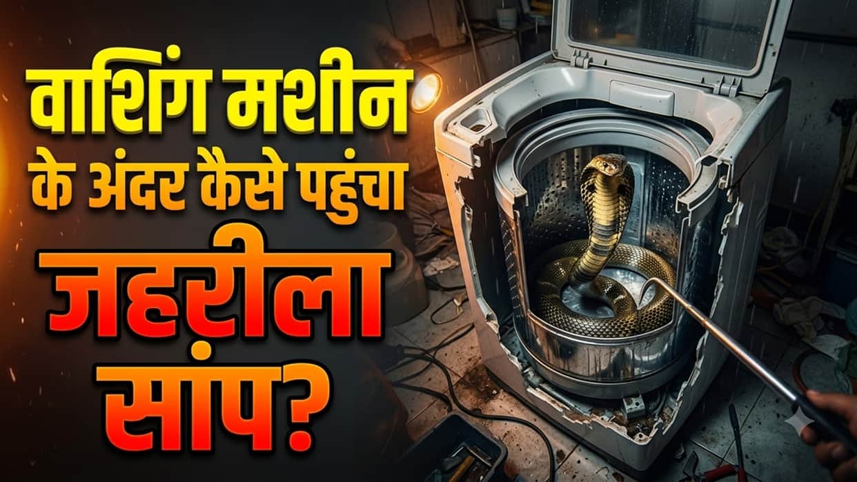 Cobra Found Trapped Inside Washing Machine at Sultanpur District Judges Residence