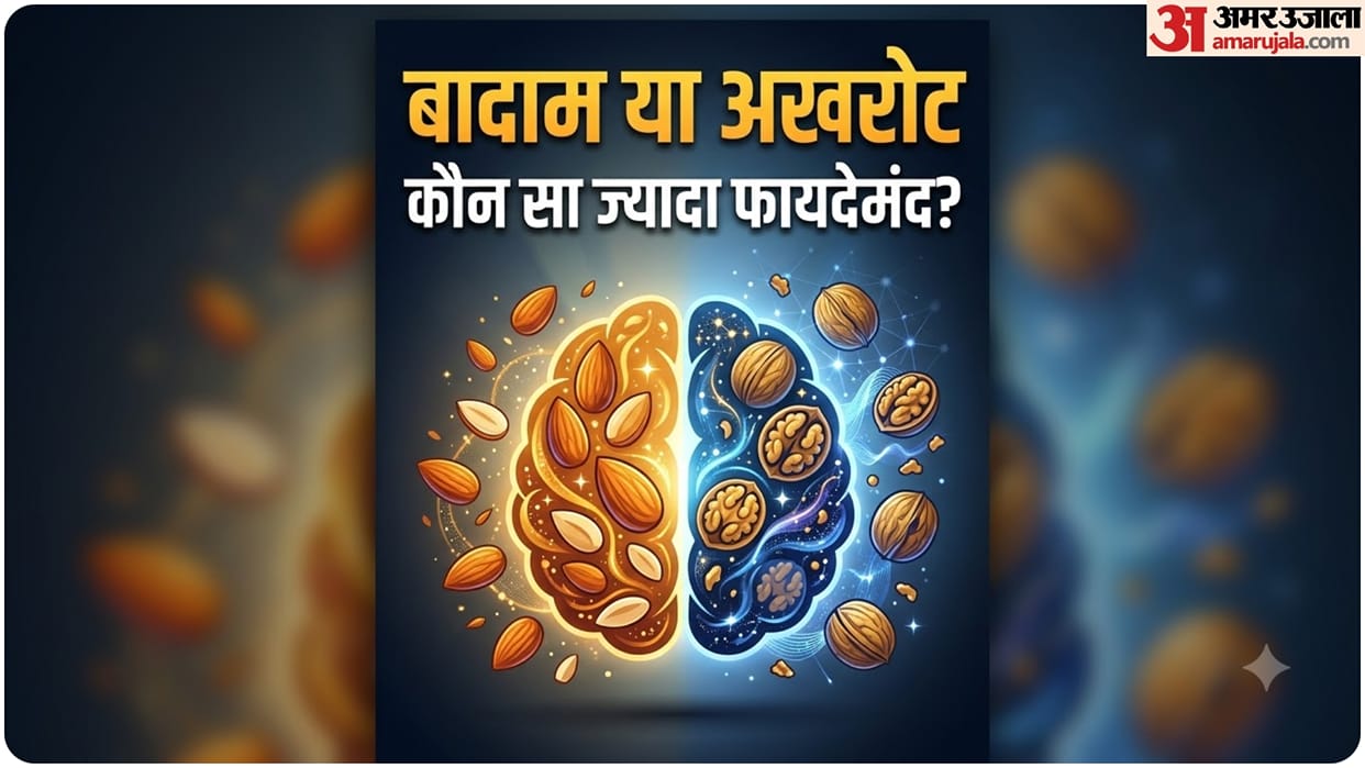 Can Eating Walnuts Improve Focus and Cognitive Health Almonds and Walnuts benefits