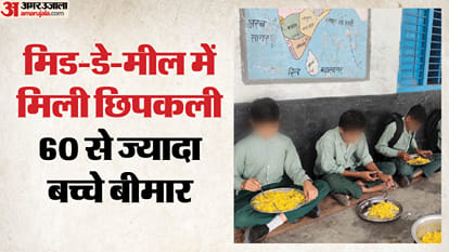 मिड-डे-मील में मिली छिपकली