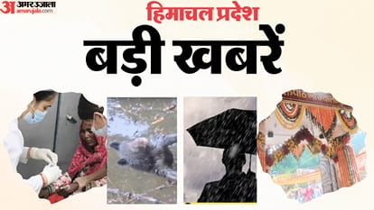 हिमाचल की बड़ी खबरें।