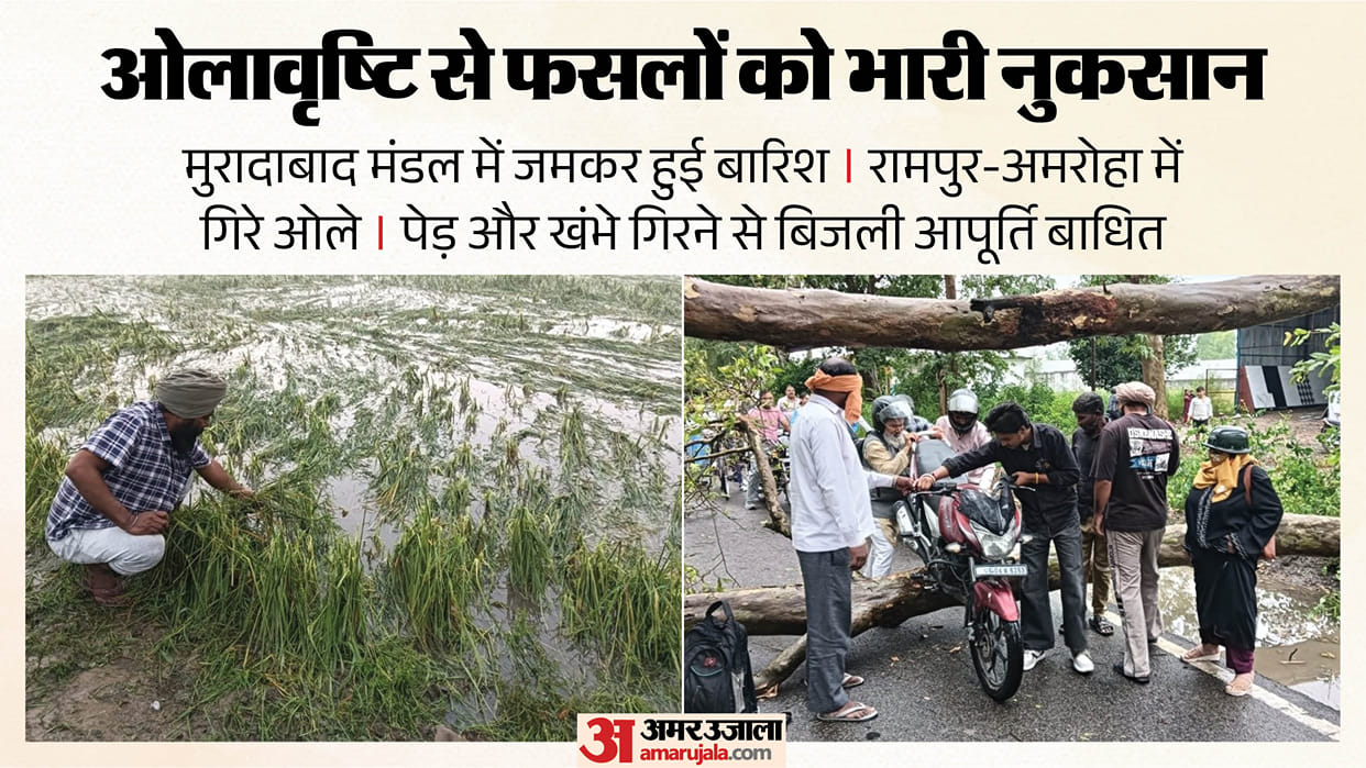 Storms, rain, and hailstorms in Moradabad division caused heavy crop damage, with one person killed Sambhal