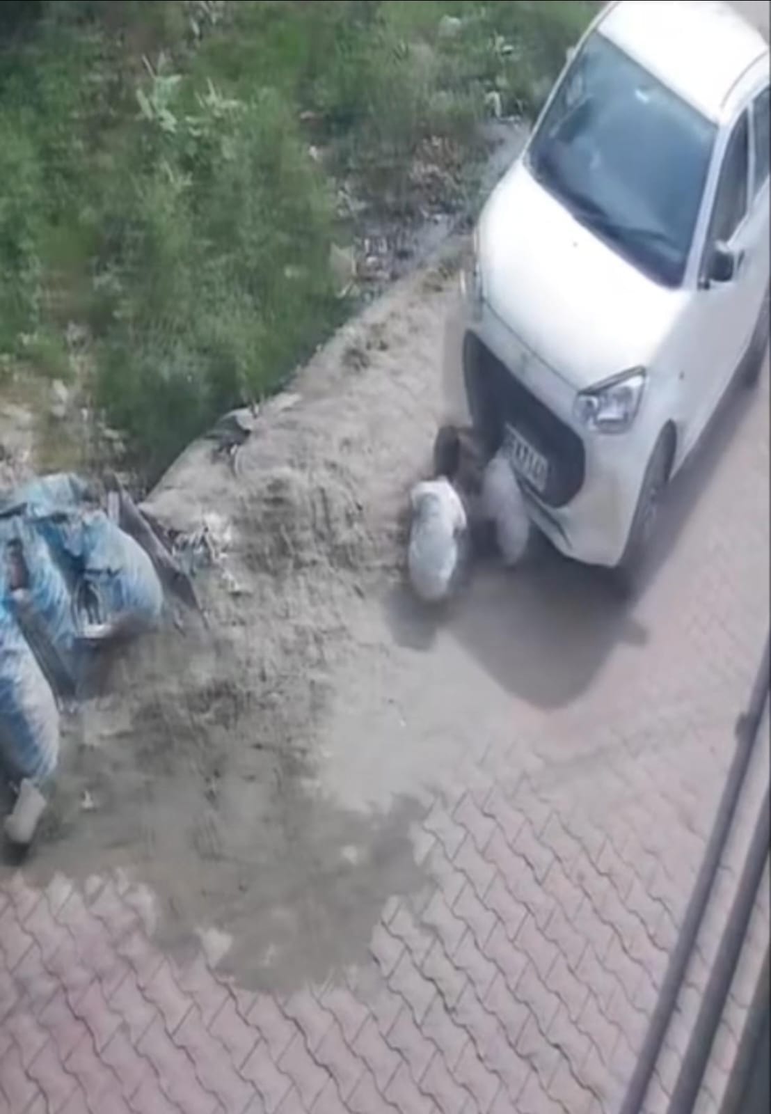 Alto car runs over innocent children playing outside their home; incident captured on CCTV