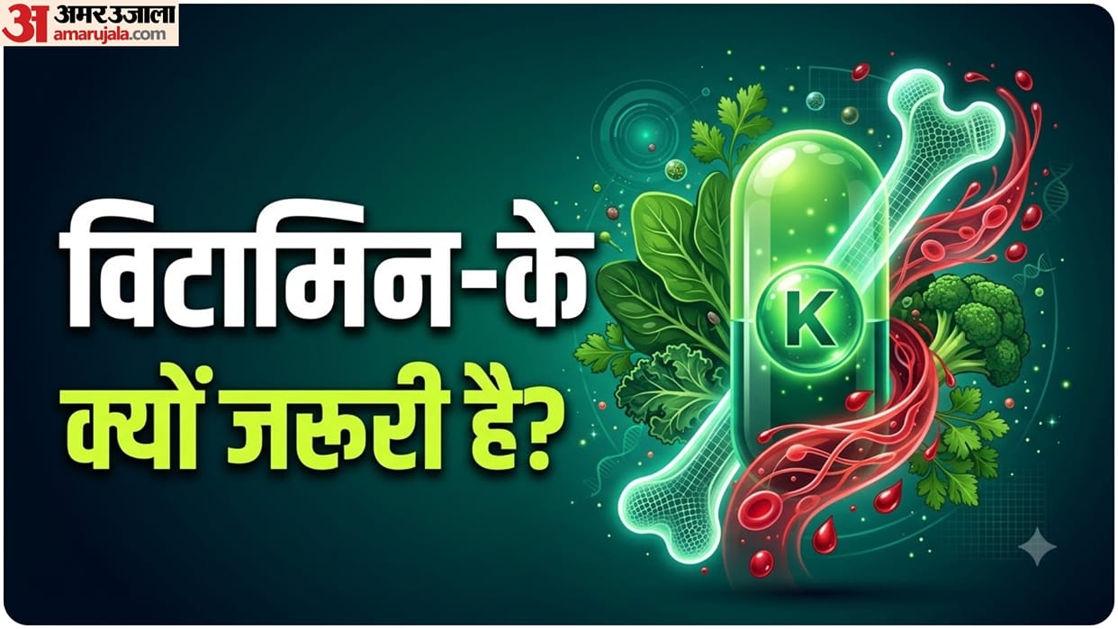 Why Does Your Body Need Vitamin K Deficiency Signs, Causes and Prevention