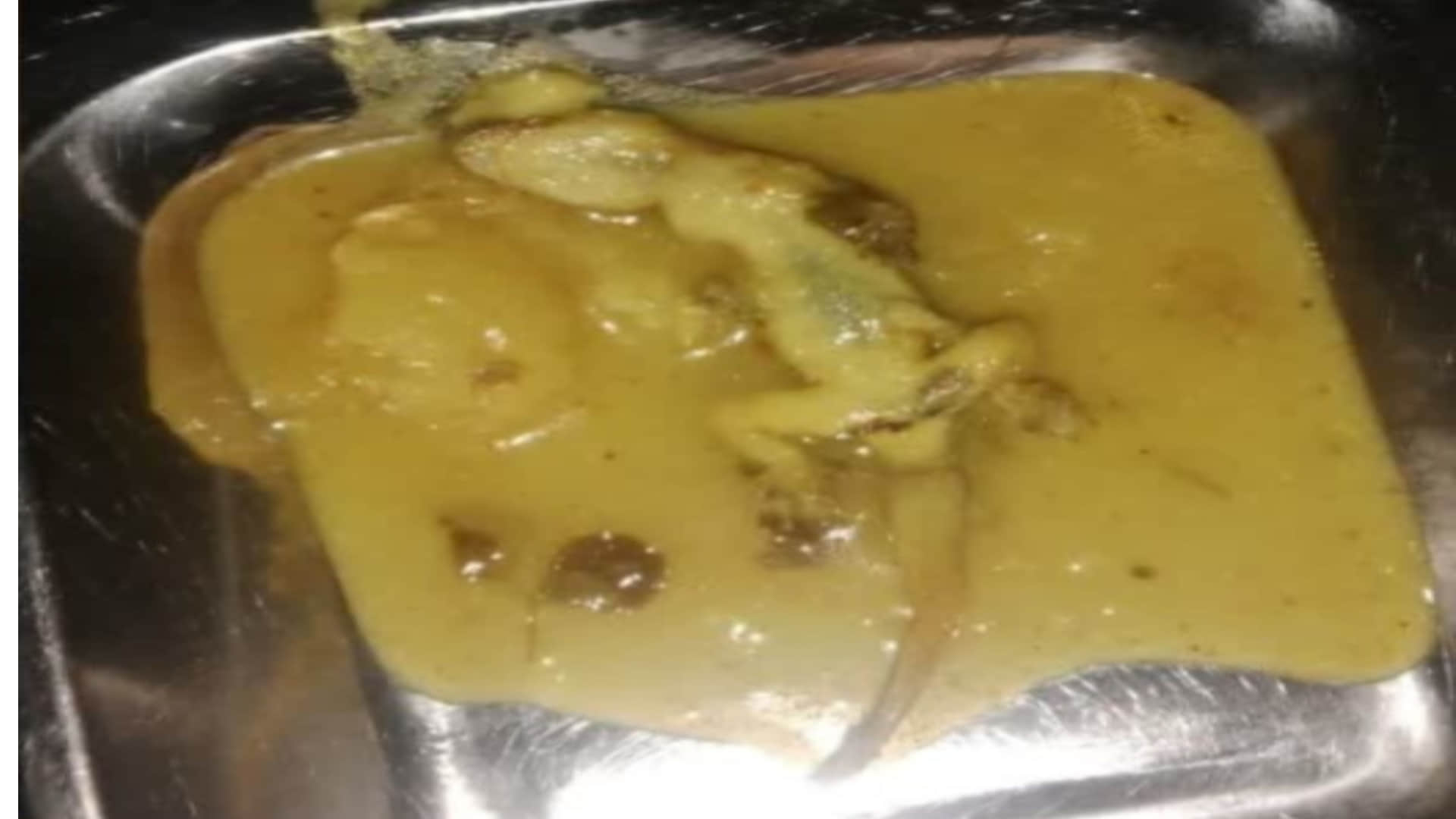 भोपाल के श्रमोदय आवासीय विद्यालय में खाने में निकली छिपकली