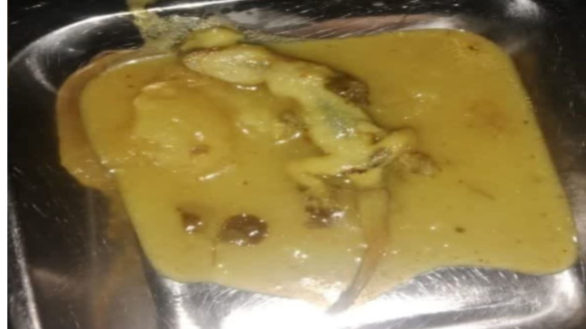 भोपाल के श्रमोदय आवासीय विद्यालय में खाने में निकली छिपकली