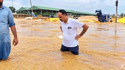Rain in Punjab soaks paddy stored in mandis