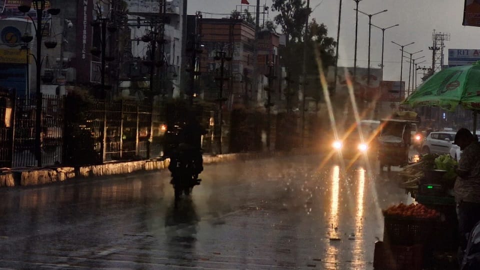 West UP Weather: Rain in Meerut, Muzaffarnagar, and Shamli; trees fell due to storms in several places