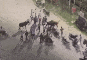Clash among delivery riders outside a society in Bulandshahr