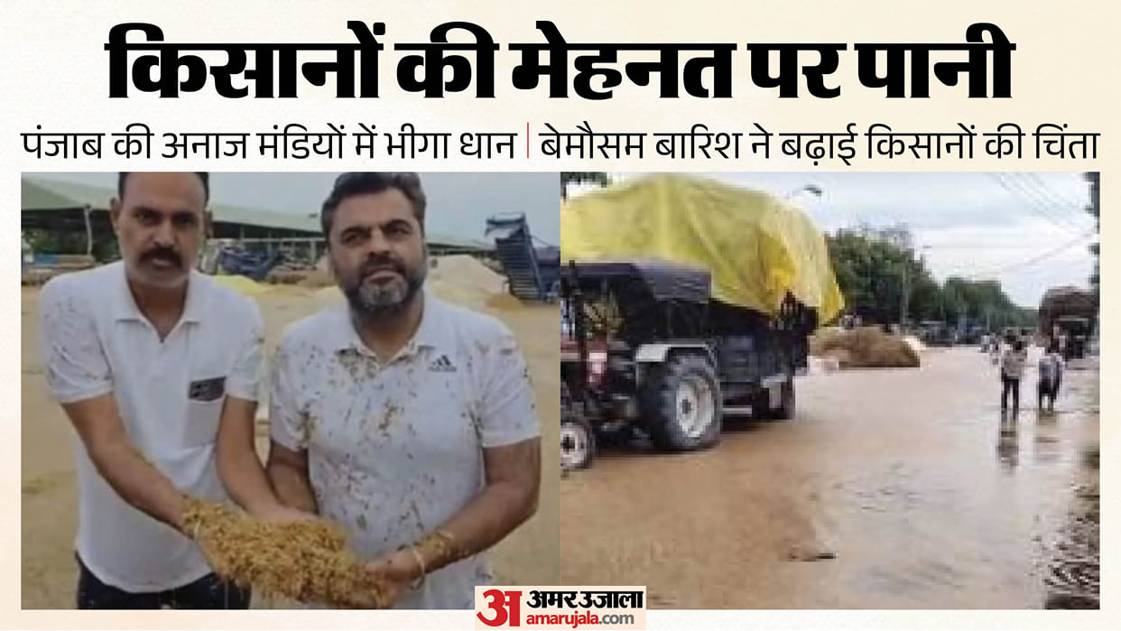Rain in Punjab soaks paddy stored in mandis