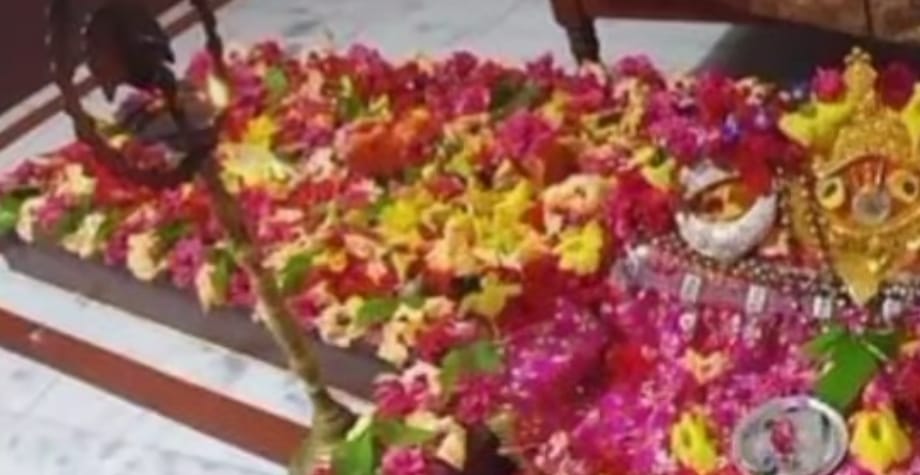 darbhanga-benipur-ma-haiyahath-devi-temple-navratri-singhasan-worship