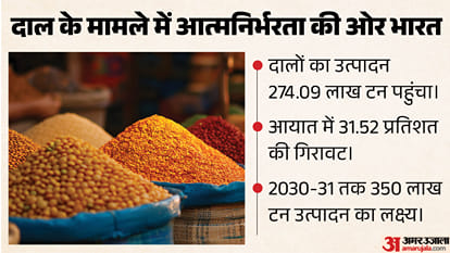 दालों के आयात में गिरावट