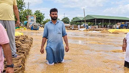 Rain in Punjab soaks paddy stored in mandis