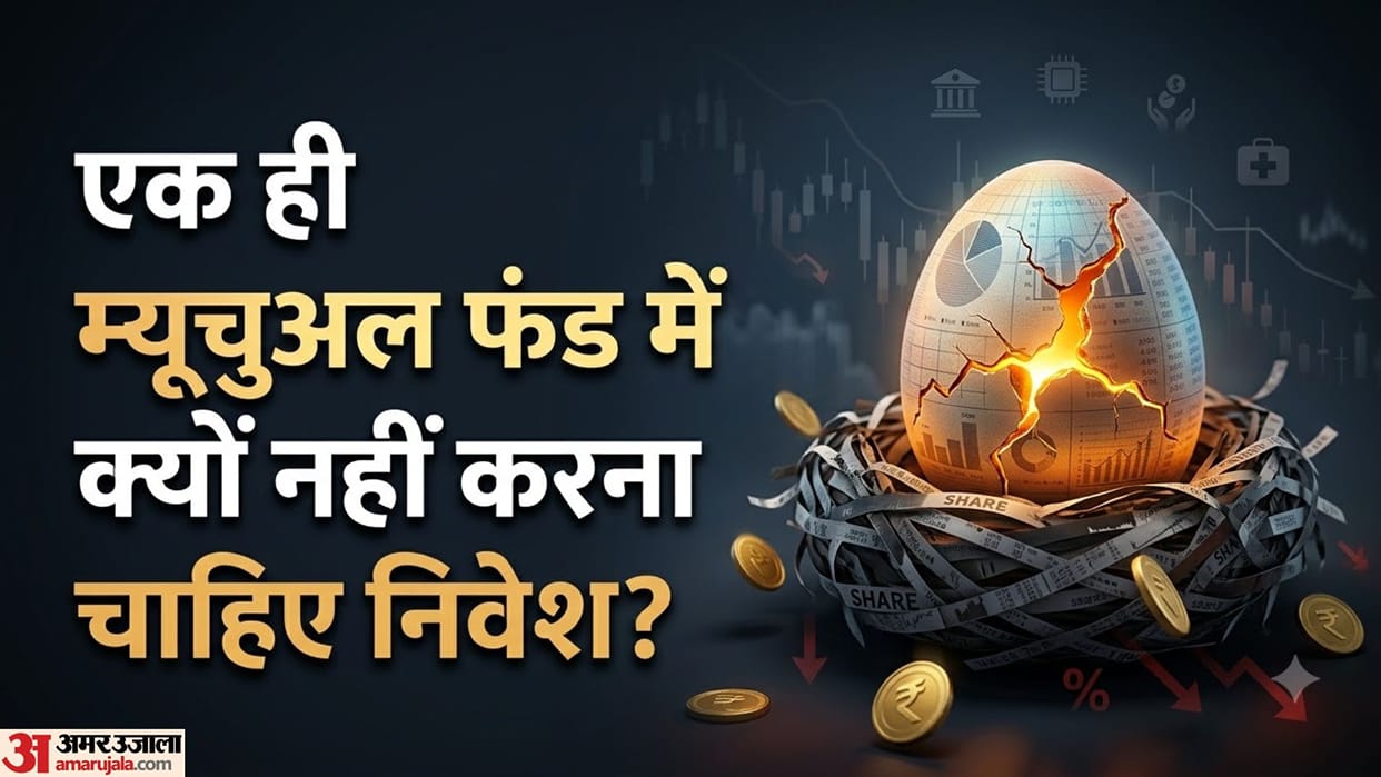 Why You Should Not Put All Money in One Mutual Fund: Portfolio Diversification and Risk Management Explained