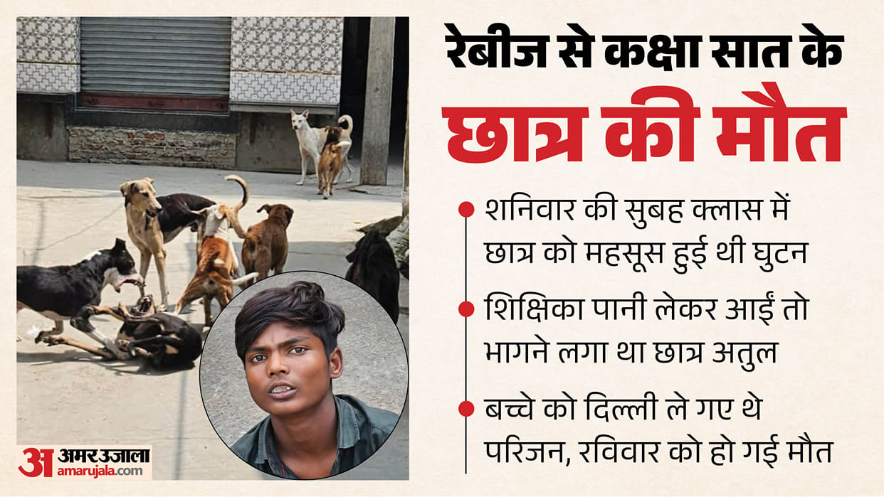 Rabies-Infected Class 7 Student Runs in Fear at Sight of Water Glass, Dies 24 Hours Later in UP