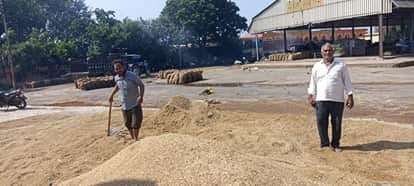 Rain soaks paddy in mand