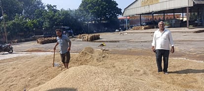 Rain soaks paddy in mand