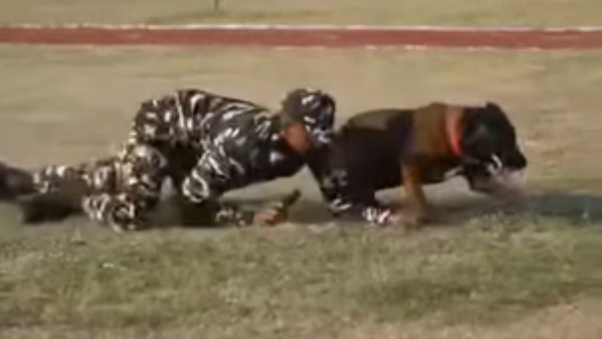 Alwar SSB Inter Frontier Dog Competition 2026 Winner Patna Ranikhet Explosive Narcotics Detection Results