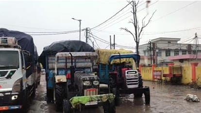 Rain soaks paddy in mand