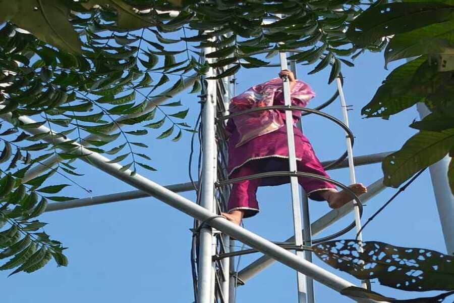 minor girl climbs mobile tower demanding marriage with lover