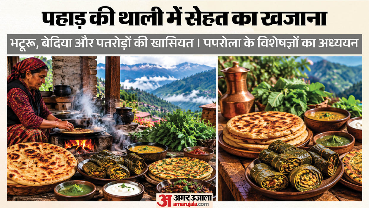 Himachal traditional food Bhaturu Malera Paprola Ayurvedic College study