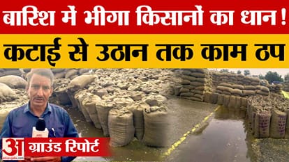Rain threatens to soak 2 lakh metric tonnes of paddy at Thanesar grain market, halting lifting