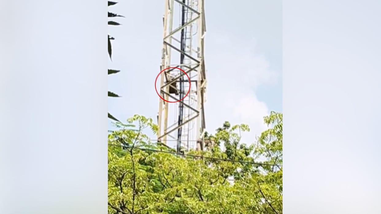 young woman climbed mobile tower after posting on Instagram for marrying her boyfriend in sonbhadra