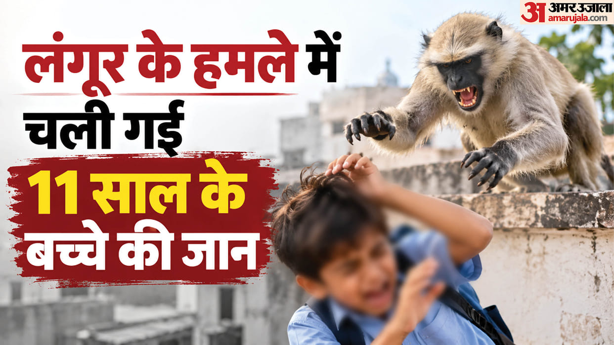 Uttarakhand Yamkeshwar child died who fell into coma after being attacked by a langur