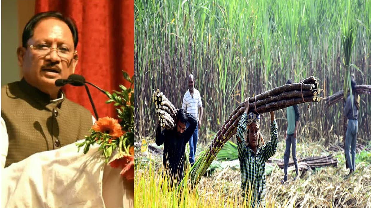 Diwali Gift: Over 31,000 CG farmers associated with Chhattisgarh four sugar mills to receive ₹51 crore bonus