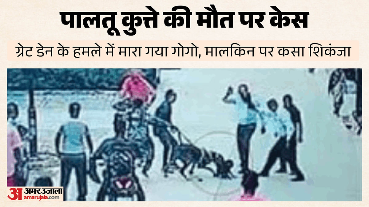 गोगो की मौत का हिसाब मांगेगी पुलिस: मालकिन पर केस दर्ज, पालतू पग पर ग्रेट डेन नस्ल के कुत्ते ने किया था हमला