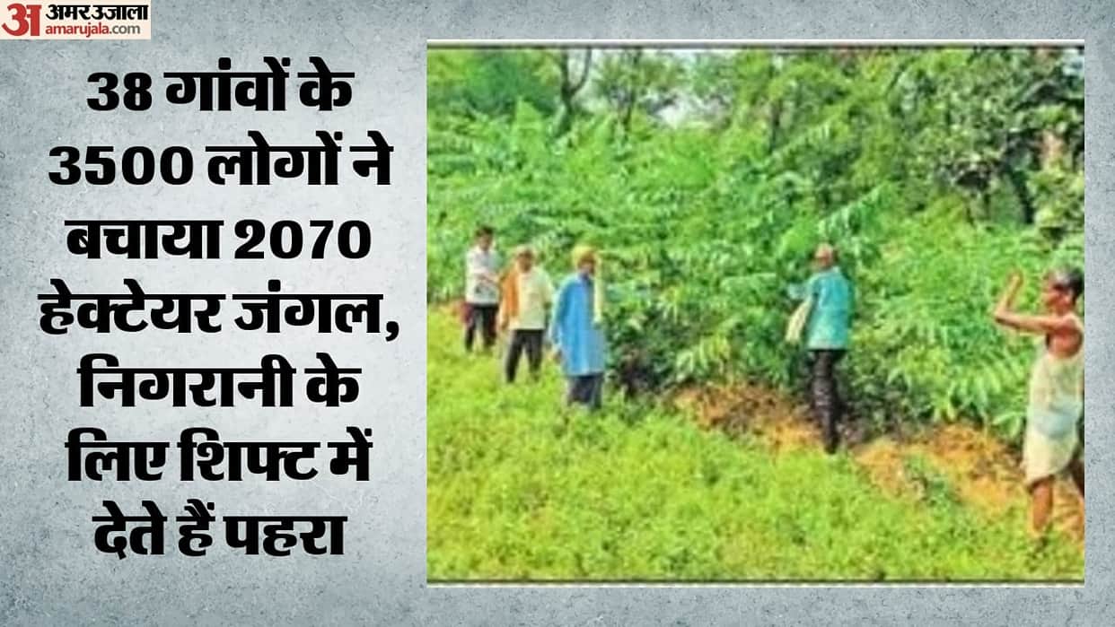 Villagers in Sonbhadra set an example Residents of 38 villages have saved 2 070 hectares of forest and take tu