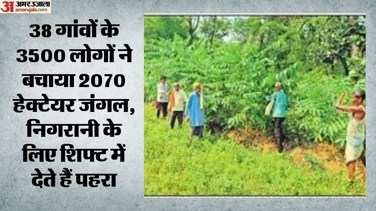 Villagers in Sonbhadra set an example Residents of 38 villages have saved 2 070 hectares of forest and take tu