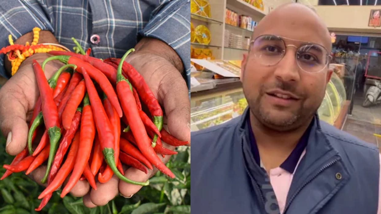 Earn 1 Lakh Rupees in 3 Months Viral Red Chilli Business Advice Explained