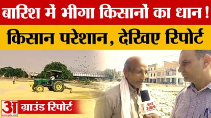 Paddy procurement and lifting slow in Panipat markets, crops soaked by rain