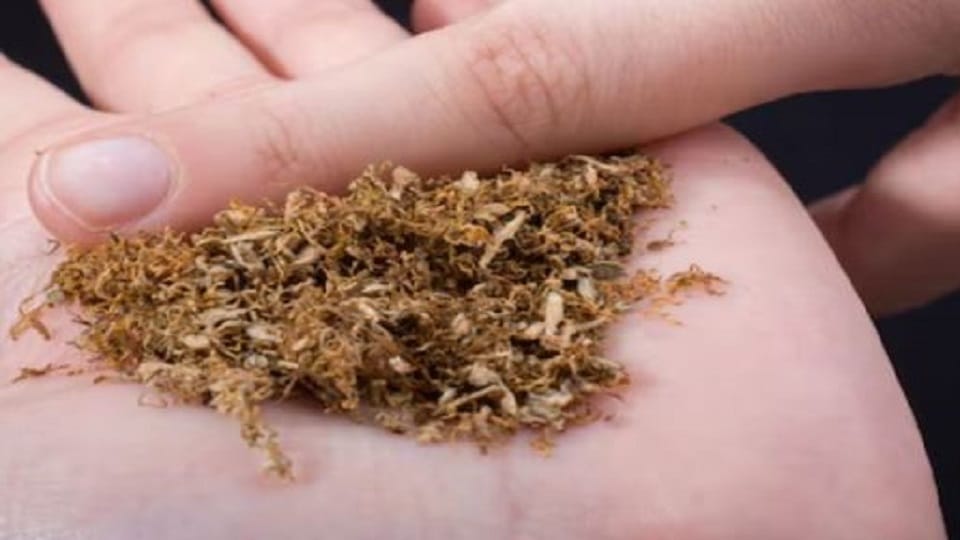 Gutkha tobacco ban in Uttarakhand