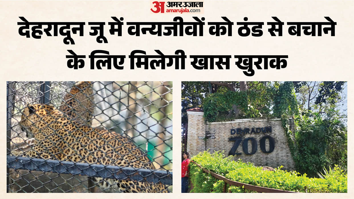 Dehradun Zoo Menu prepared to beat cold birds to eat almonds deer jaggery and bears to munch on peanuts