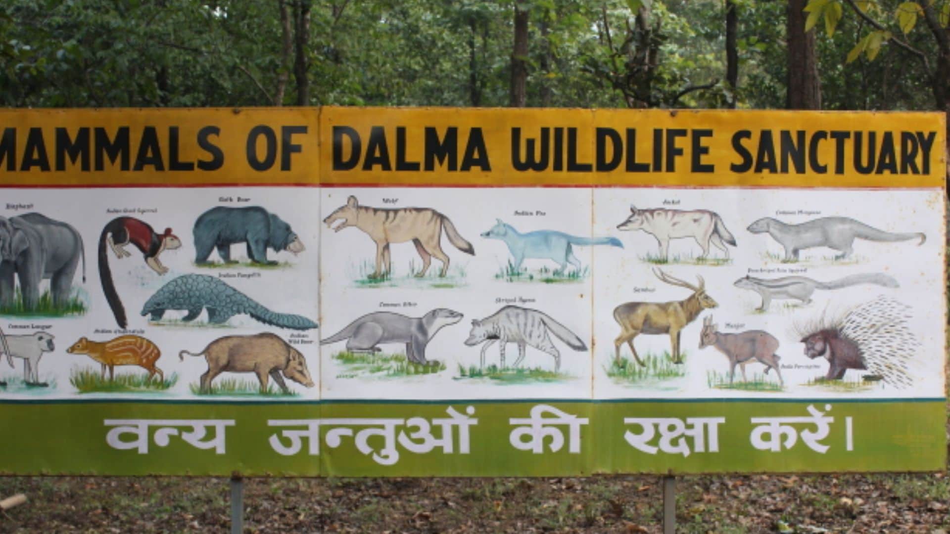 दलमा वन्यजीव अभयारण्य