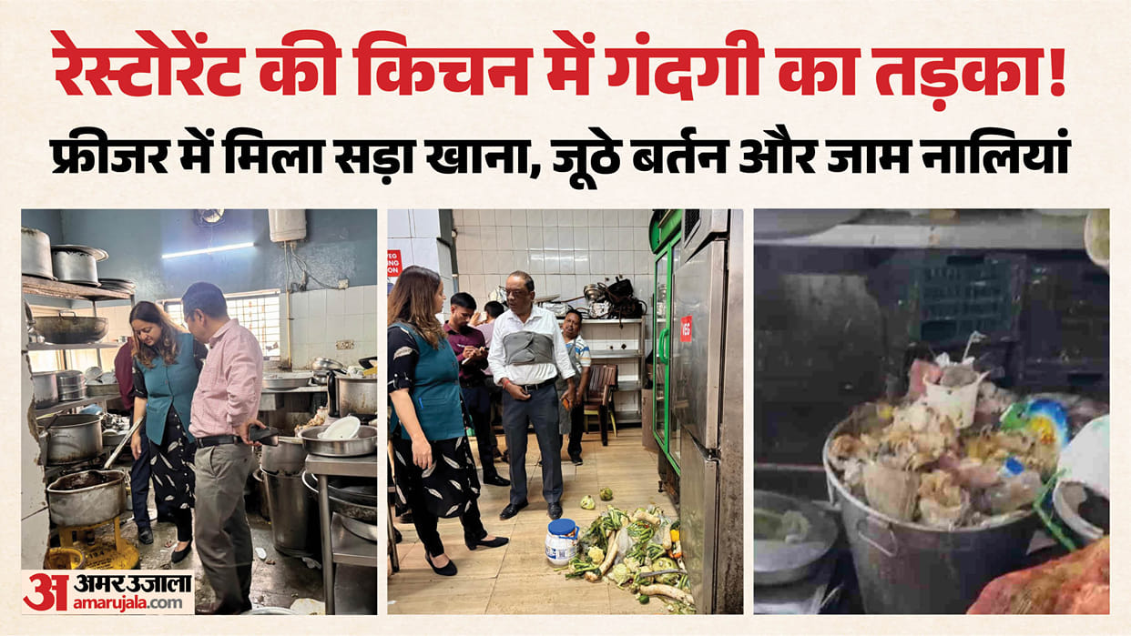 Rotten vegetables cockroaches and rats found at Doon Club Handi Restaurant