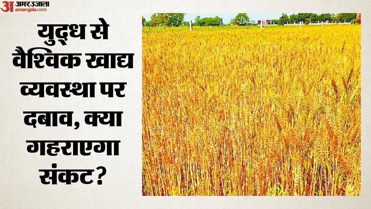 युद्ध की आग में झुलसी खेती
