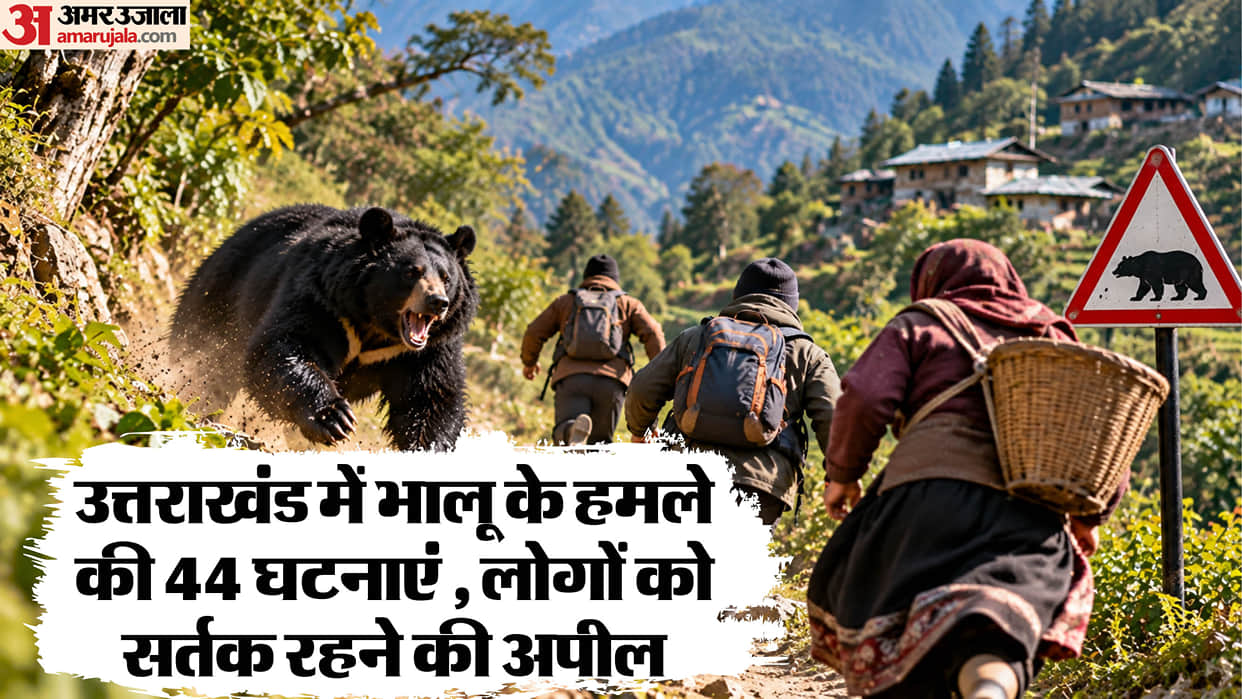 Bear attacks Bears Are Entering Residential Areas in October in Search of Food Uttarakhand News