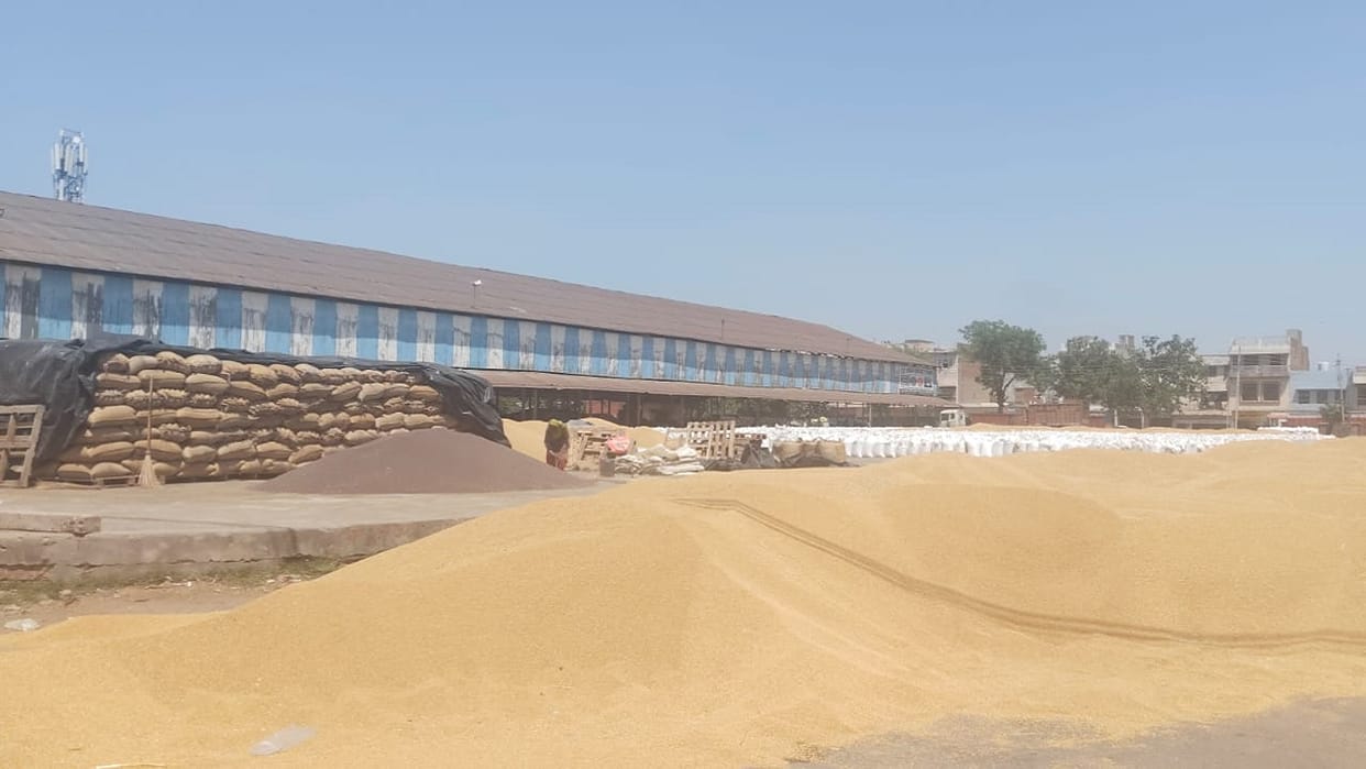 Farmers to protest at Market Committee offices in Hisar today; offices to remain locked for three hours.