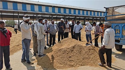 मंडी में पड़ी धान की फसल