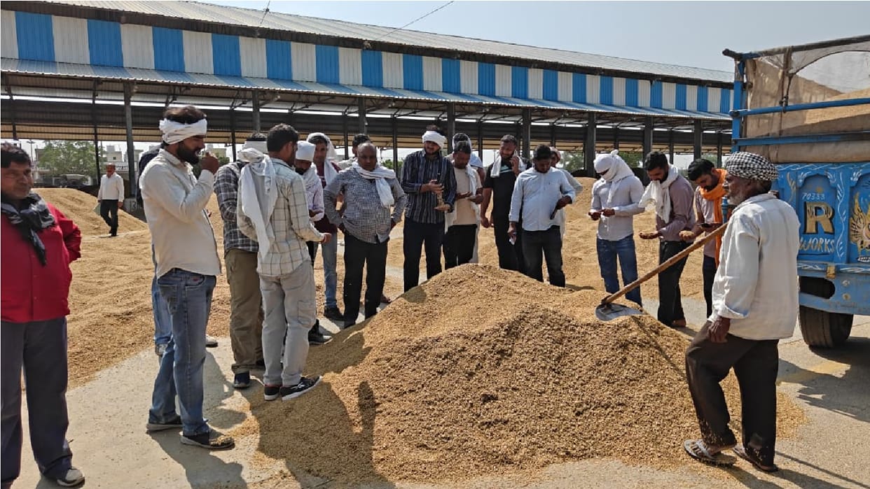 farmers' anger erupts over procurement below MSP and delays in lifting of produce in haryana