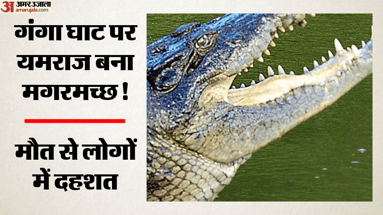 Youth attacked by crocodile while bathing at Ganga Ghat in Jahangirabad