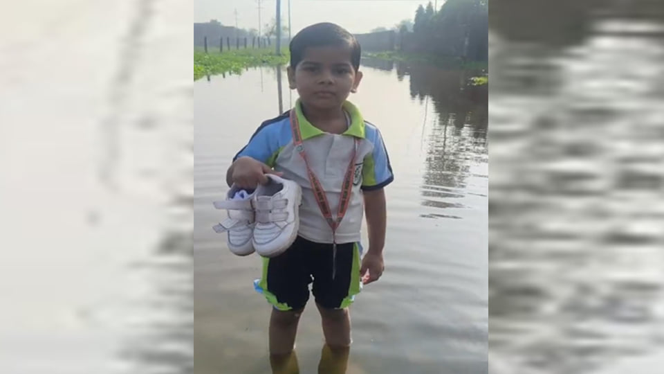 कानपुर: जलभराव से परेशान चार साल की मायरा ने डीएम से लगाई गुहार, वीडियो वायरल